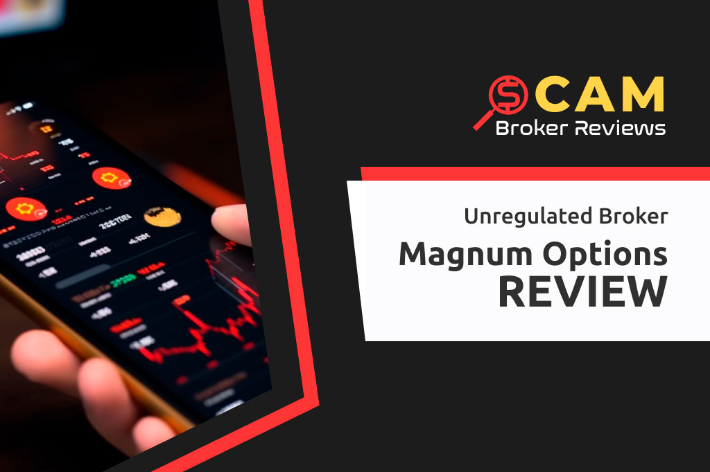 Detailed Analysis and Pros and Cons of Magnum Options for Investing