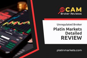 Platin Markets Review: Benchmarking Platform Performance